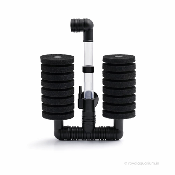 XY-2831 Aquarium Sponge Filter – Gentle Double Sponge Filtration for Betta, Shrimp & Fry Tanks | Buy Online at Royal Aquarium