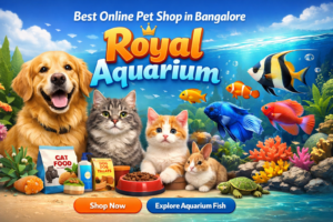 Royal Aquarium | Buy Online at Royal Aquarium