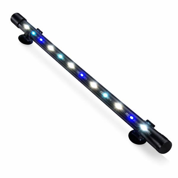 Bluepet T4-40 Light
