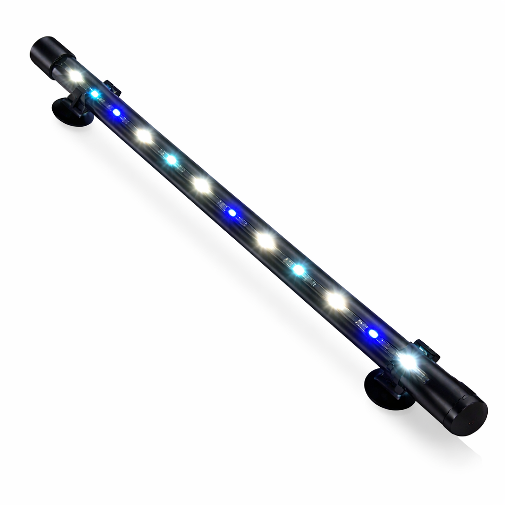 Bluepet T4-40 Light