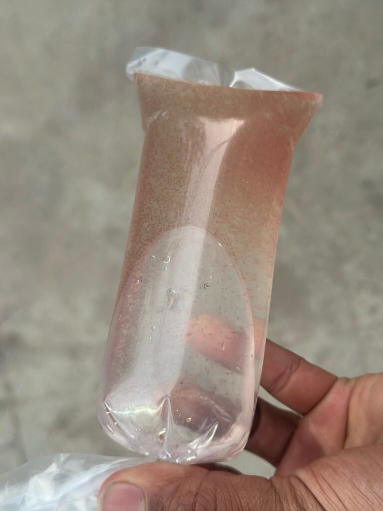 Moina Culture for Fish Fry | Live Starter Culture in India