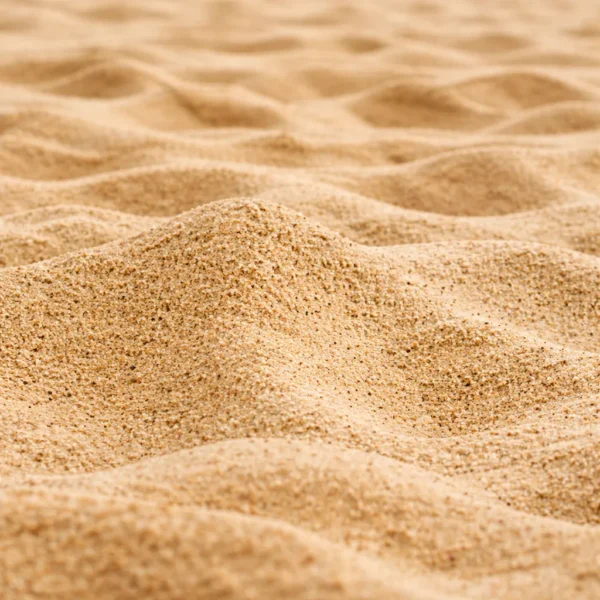 Buy Natural River Sand for Aquarium - Inert Cosmetic Substrate Online – Royal Aquarium Aquarium River Sand