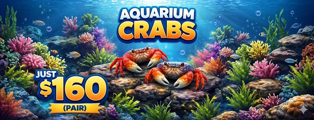 4422d55f-3d54-4240-afe5-b6fe1588f425