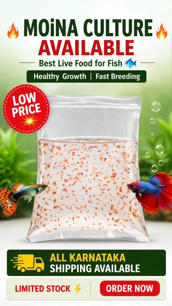 Royal Aquarium | Buy Online at Royal Aquarium