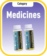 Royal Aquarium | Buy Online at Royal Aquarium