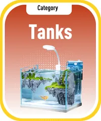 Royal Aquarium | Buy Online at Royal Aquarium