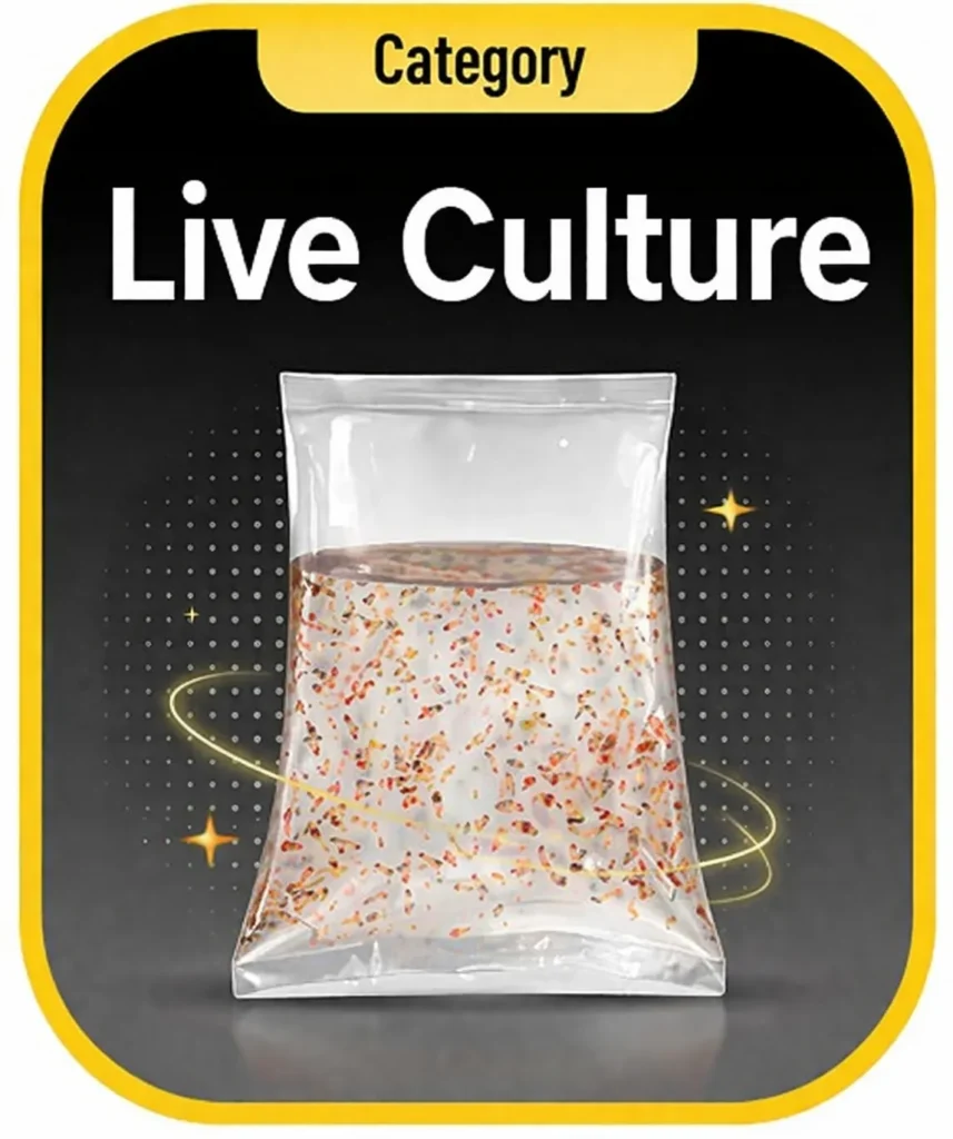 Royal Aquarium | Buy Online at Royal Aquarium