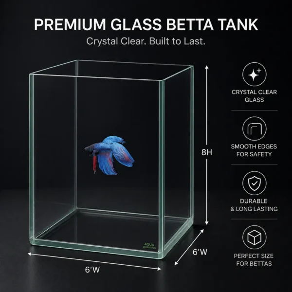 betta Tank