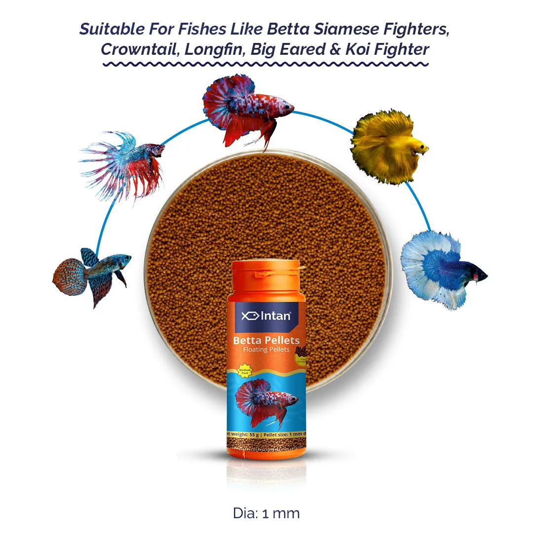 Royal Aquarium | Buy Online at Royal Aquarium