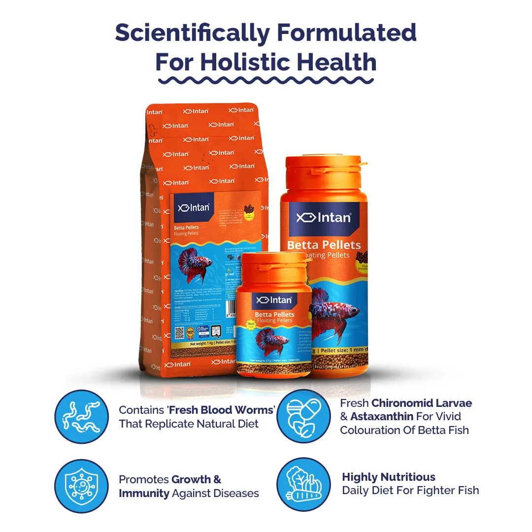 Royal Aquarium | Buy Online at Royal Aquarium