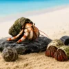 Buy Hermit Crab Online – Royal Aquarium Hermit Crab