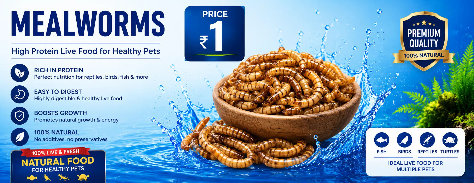 Mealworms