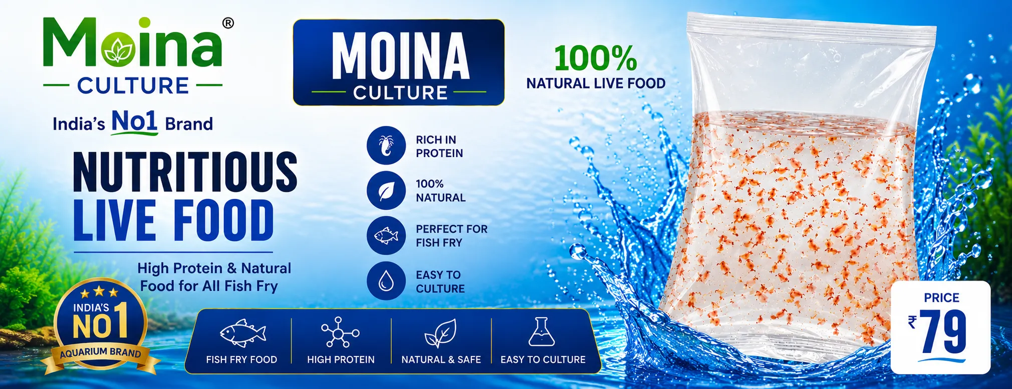 Moina Culture Bengalore Nera
