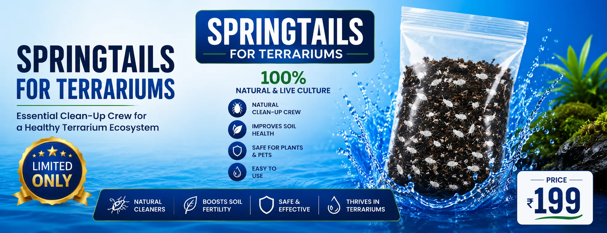 Springtails for Terrariums Near me